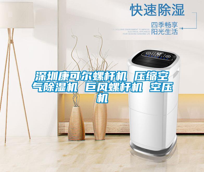 深圳康可爾螺杆機 壓縮空氣91视频链接下载 巨風螺杆機 空壓機