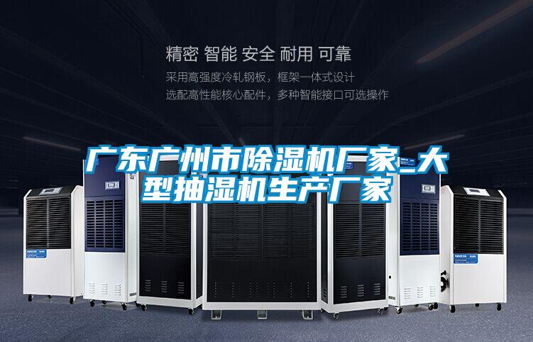 廣東廣州市91视频链接下载廠家_大型抽濕機生產廠家