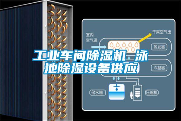 工業車間91视频链接下载 泳池除濕設備供應