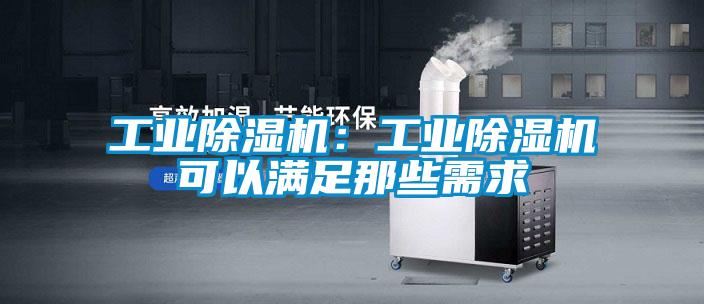 工業91视频链接下载：工業91视频链接下载可以滿足那些需求