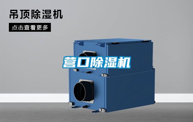 營口91视频链接下载