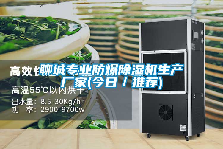 聊城專業防爆91视频链接下载生產廠家(今日／推薦)