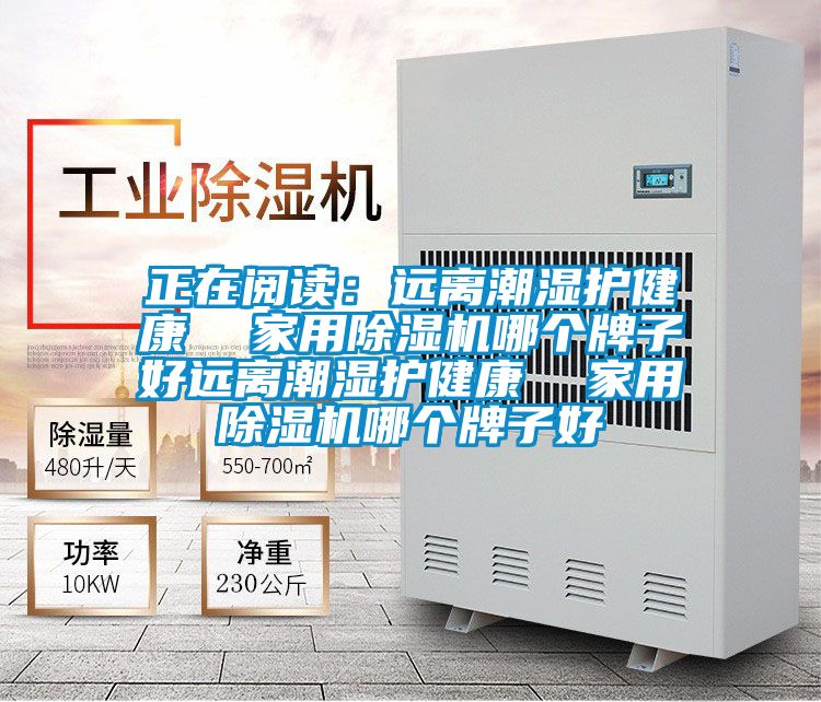 正在閱讀：遠離潮濕護健康  家用91视频链接下载哪個牌子好遠離潮濕護健康  家用91视频链接下载哪個牌子好