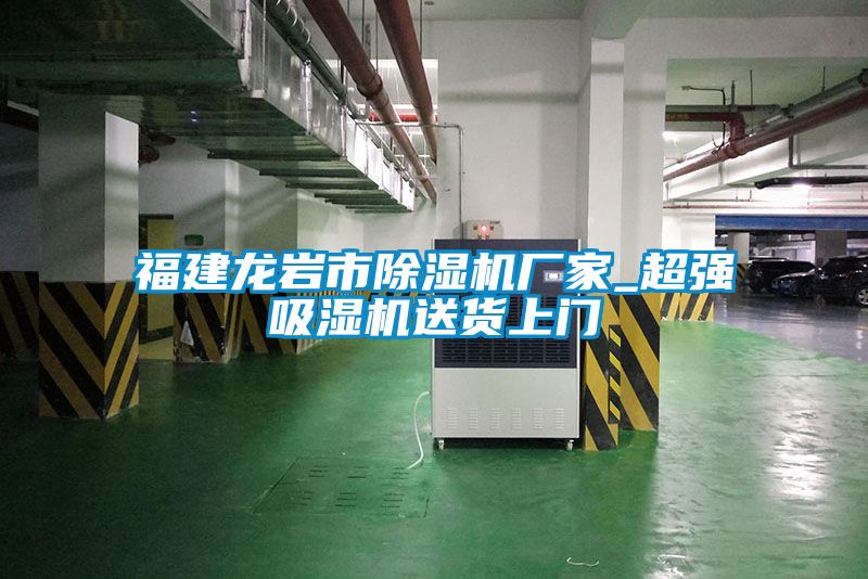 福建龍岩市91视频链接下载廠家_超強吸濕機送貨上門
