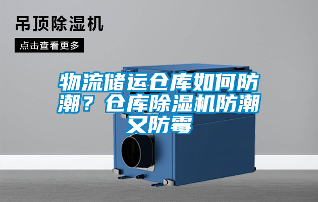 物流儲運倉庫如何防潮？倉庫91视频链接下载防潮又防黴