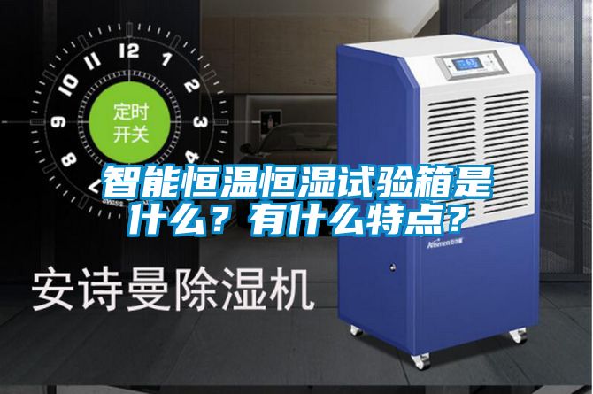 智能恒溫恒濕試驗箱是什麽？有什麽特點？