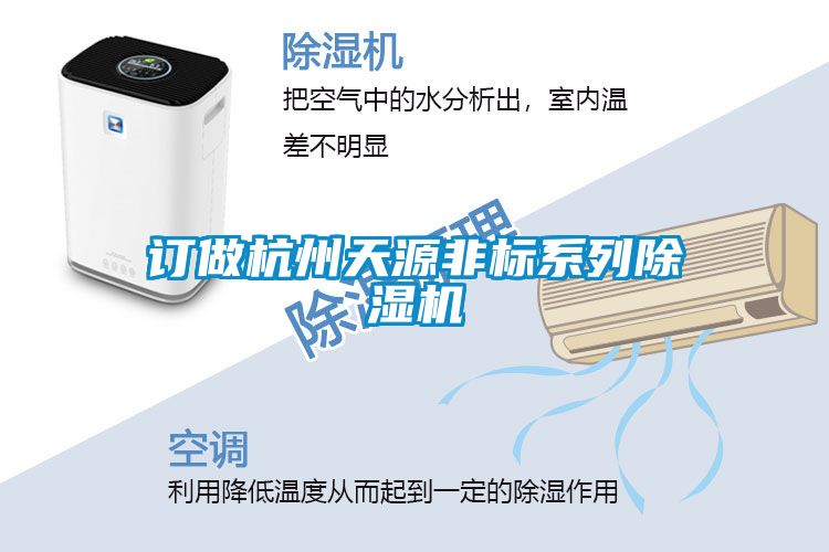 訂做杭州天源非標係列91视频链接下载