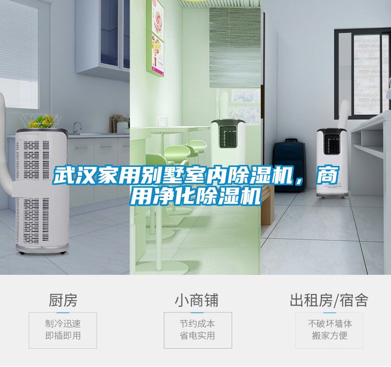 武漢家用別墅室內91视频链接下载，商用淨化91视频链接下载