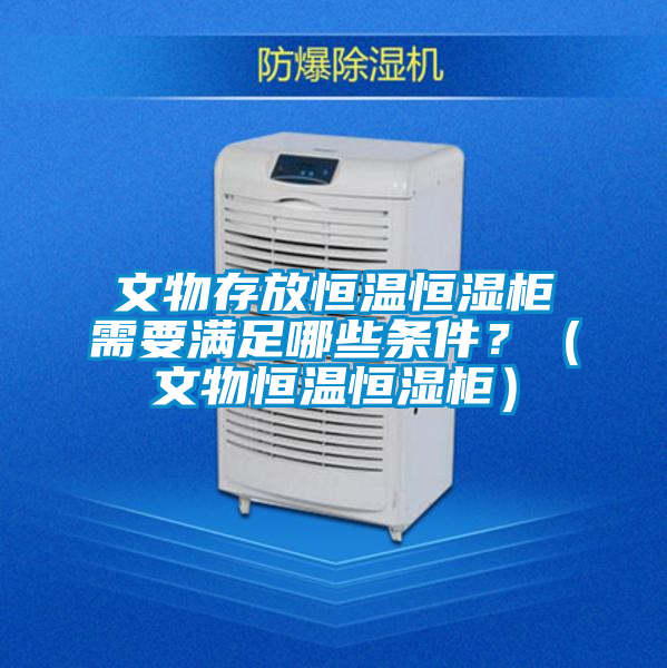 文物存放恒溫恒濕櫃需要滿足哪些條件？（文物恒溫恒濕櫃）