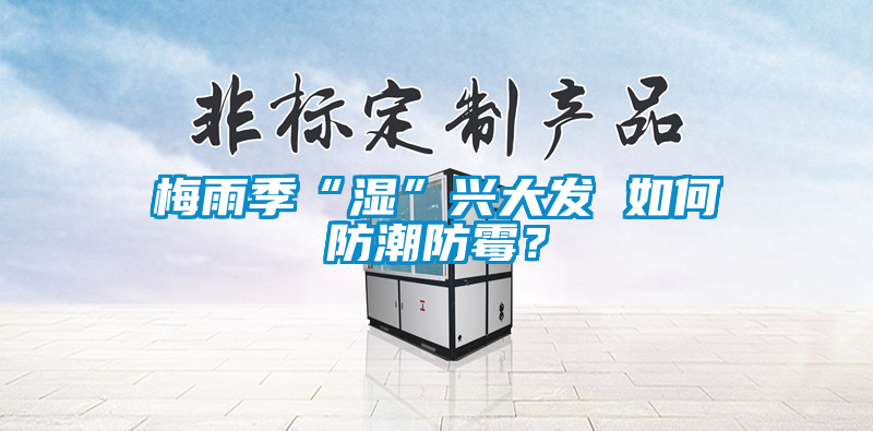 梅雨季“濕”興大發 如何防潮防黴？