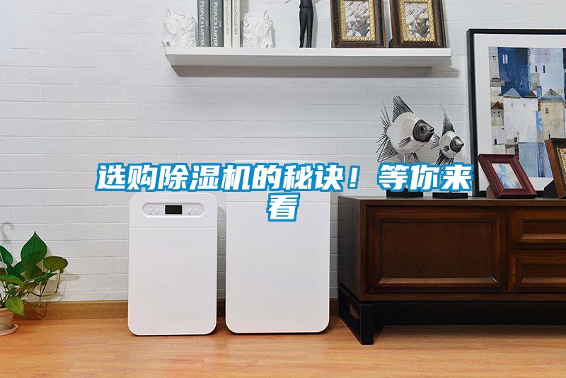 選購91视频链接下载的秘訣！等你來看