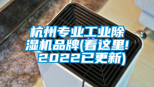 杭州專業工業91视频链接下载品牌(看這裏! 2022已更新)