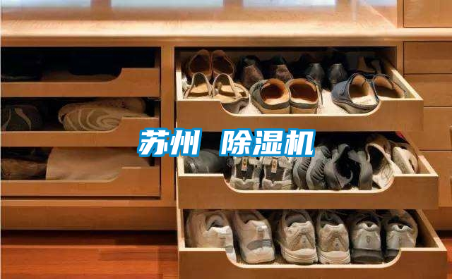 蘇州 91视频链接下载