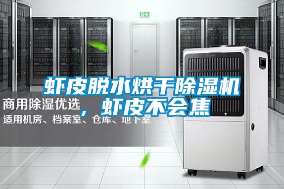 蝦皮脫水烘幹91视频链接下载，蝦皮不會焦