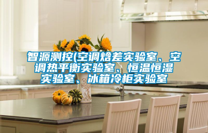 智源測控(空調焓差實驗室、空調熱平衡實驗室、恒溫恒濕實驗室、冰箱冷櫃實驗室