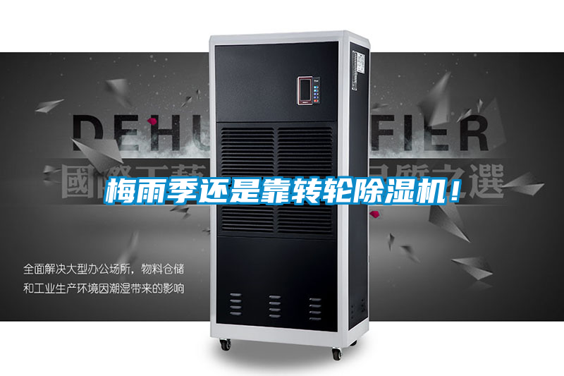 梅雨季還是靠轉輪91视频链接下载！