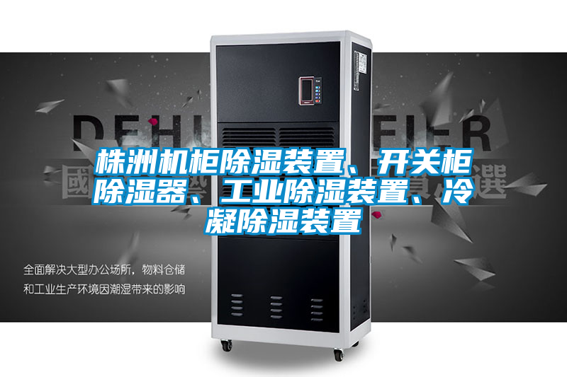 株洲機櫃除濕裝置、開關櫃除濕器、工業除濕裝置、冷凝除濕裝置