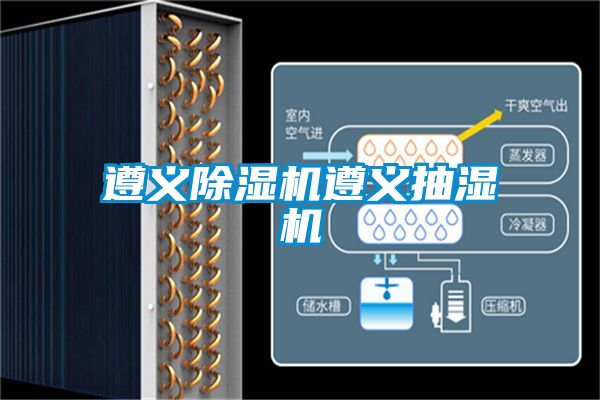 遵義91视频链接下载遵義抽濕機