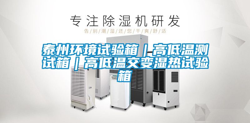 泰州環境試驗箱|高低溫測試箱|高低溫交變濕熱試驗箱