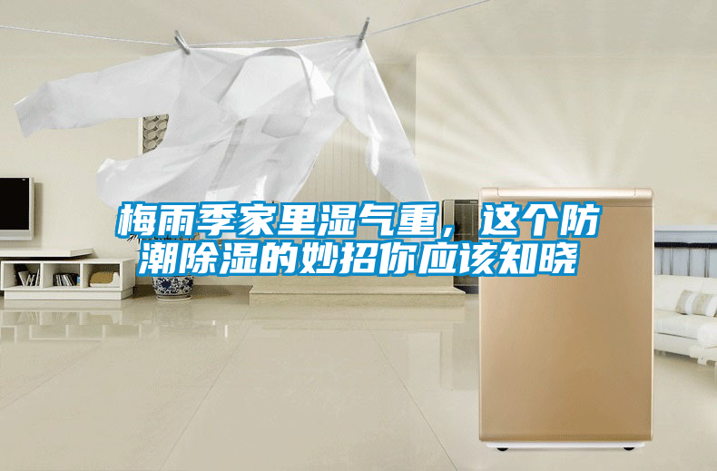 梅雨季家裏濕氣重，這個防潮除濕的妙招你應該知曉