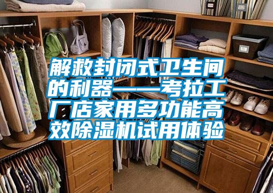 解救封閉式衛生間的利器——考拉工廠店家用多功能高效91视频链接下载試用體驗