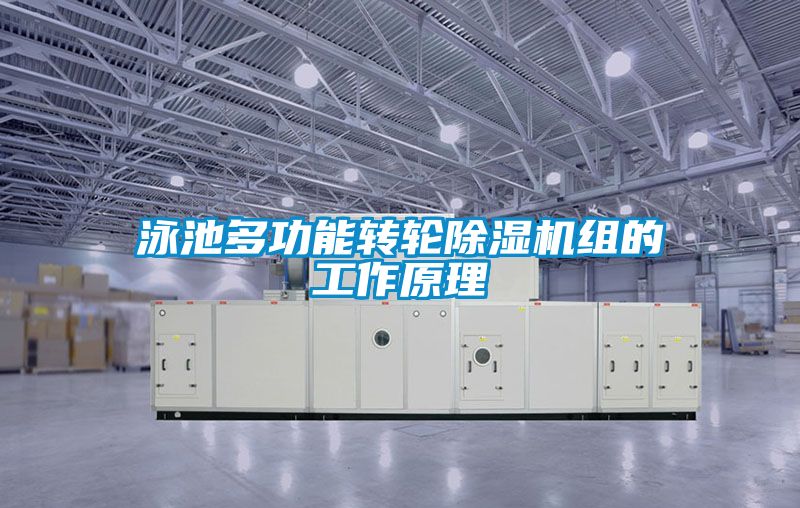 泳池多功能轉輪91视频链接下载組的工作原理