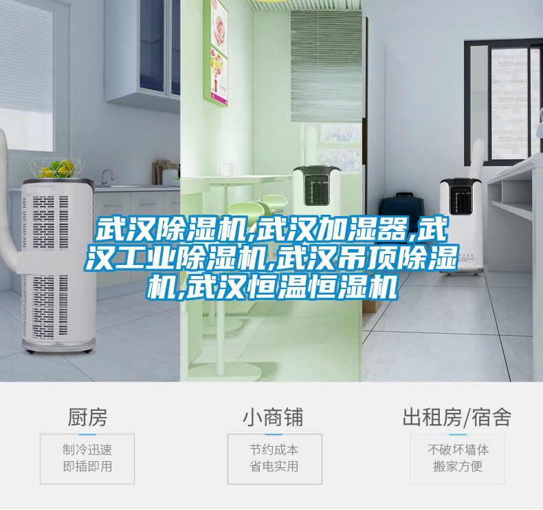 武漢91视频链接下载,武漢加濕器,武漢工業91视频链接下载,武漢吊頂91视频链接下载,武漢恒溫恒濕機