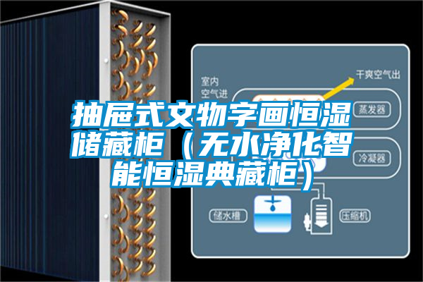 抽屜式文物字畫恒濕儲藏櫃（無水淨化智能恒濕典藏櫃）