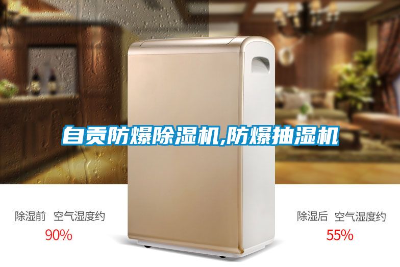 自貢防爆91视频链接下载,防爆抽濕機