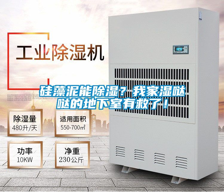 矽藻泥能除濕？我家濕噠噠的地下室有救了！