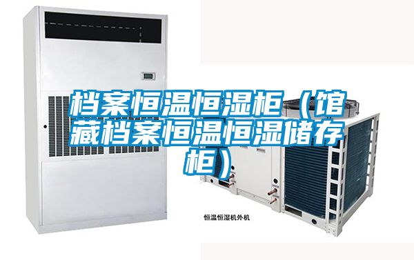 檔案恒溫恒濕櫃(館藏檔案恒溫恒濕儲存櫃)