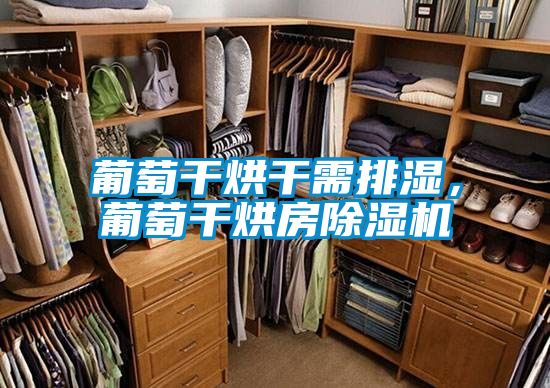 葡萄幹烘幹需排濕，葡萄幹烘房91视频链接下载