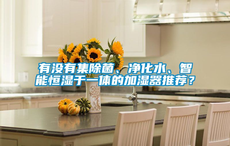 有沒有集除菌、淨化水、智能恒濕於一體的加濕器推薦？