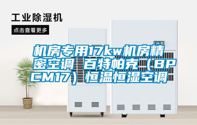 機房專用17kw機房精密空調 百特帕克(BPCM17)恒溫恒濕空調