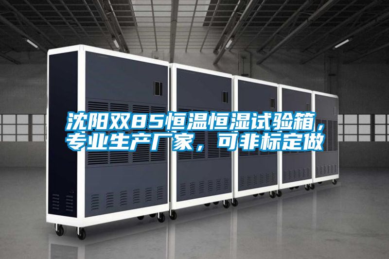 沈陽雙85恒溫恒濕試驗箱，專業生產廠家，可非標定做