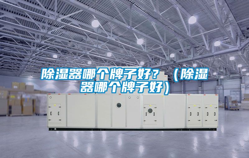 除濕器哪個牌子好？（除濕器哪個牌子好）