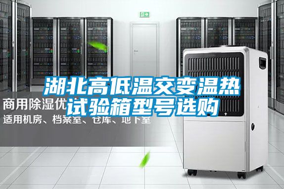 湖北高低溫交變溫熱試驗箱型號選購