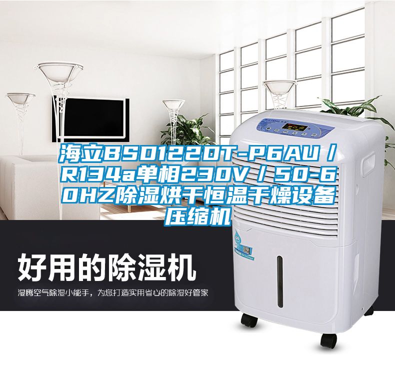 海立BSD122DT-P6AU/R134a單相230V/50-60HZ除濕烘幹恒溫幹燥設備壓縮機