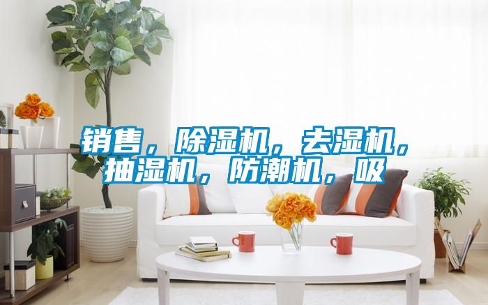 銷售，91视频链接下载，去濕機，抽濕機，防潮機，吸