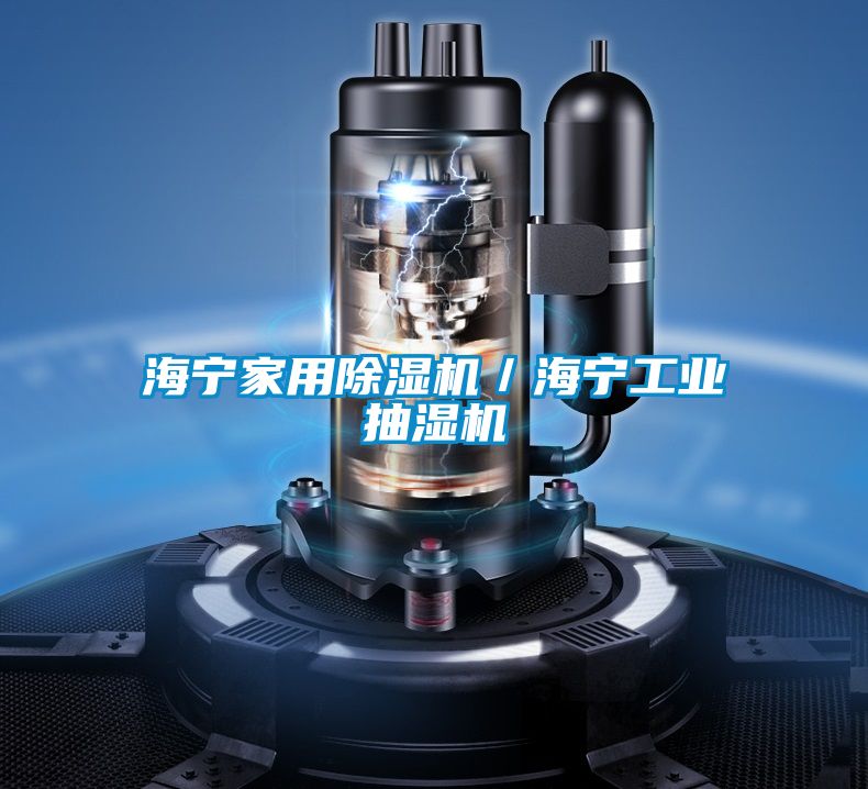 海寧家用91视频链接下载/海寧工業抽濕機