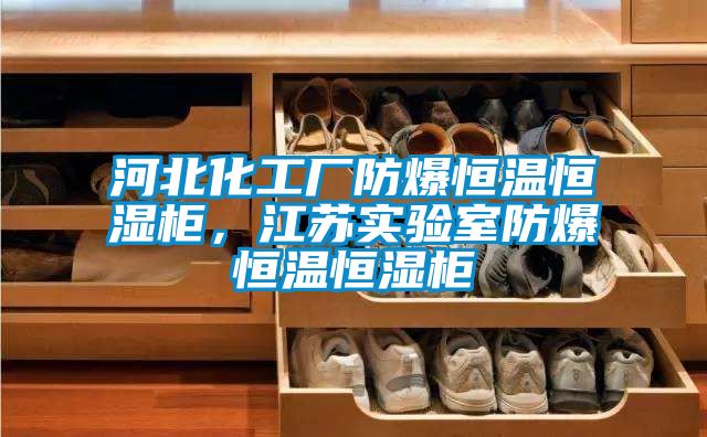 河北化工廠防爆恒溫恒濕櫃，江蘇實驗室防爆恒溫恒濕櫃