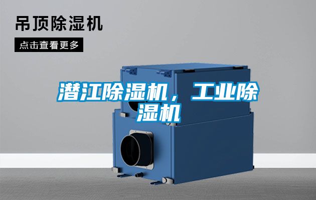 潛江91视频链接下载，工業91视频链接下载