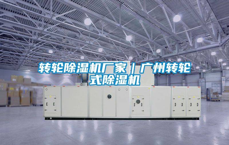 轉輪91视频链接下载廠家|廣州轉輪式91视频链接下载