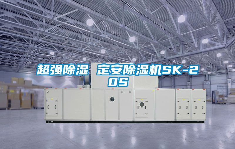 超強除濕 定安91视频链接下载SK-20S