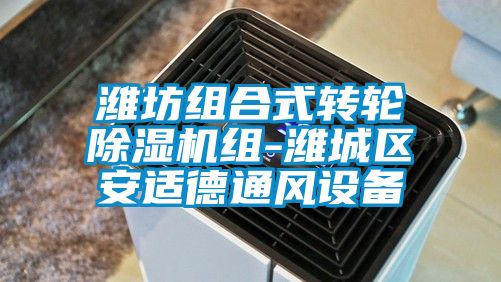 濰坊組合式轉輪91视频链接下载組-濰城區安適德通風設備