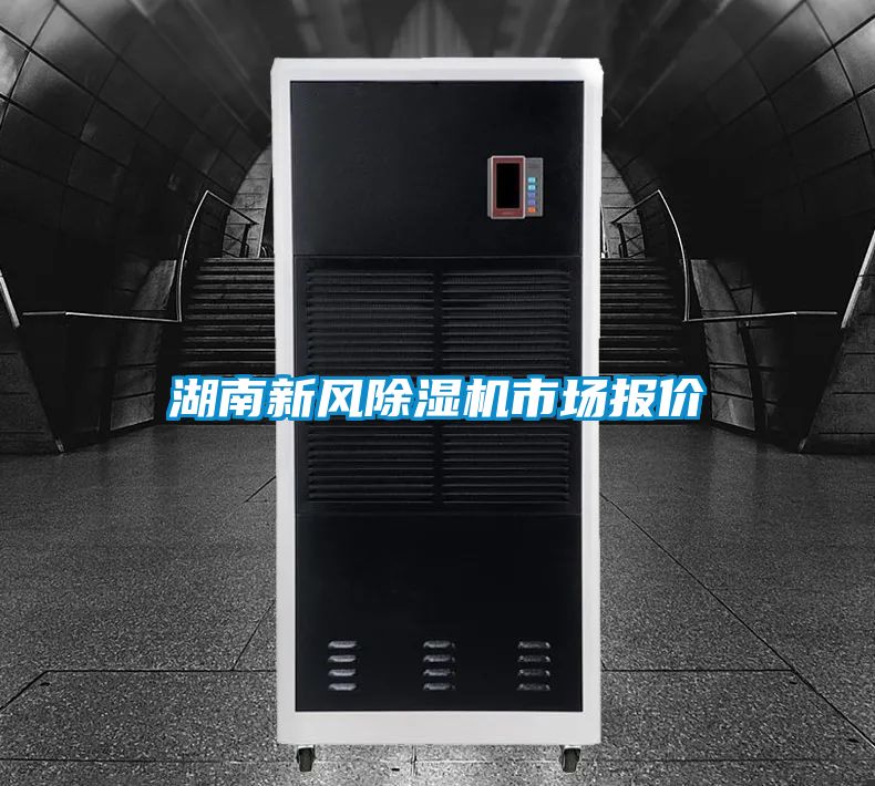 湖南新風91视频链接下载市場報價