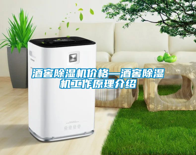 酒窖91视频链接下载價格—酒窖91视频链接下载工作原理介紹