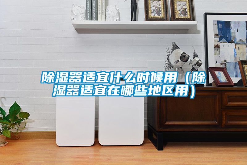 除濕器適宜什麽時候用(除濕器適宜在哪些地區用)