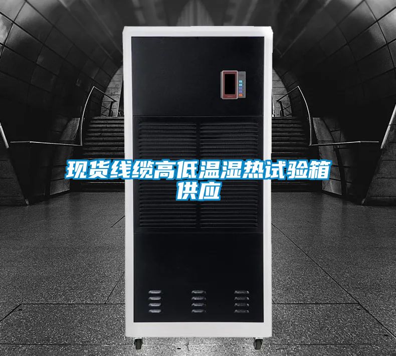 現貨線纜高低溫濕熱試驗箱供應