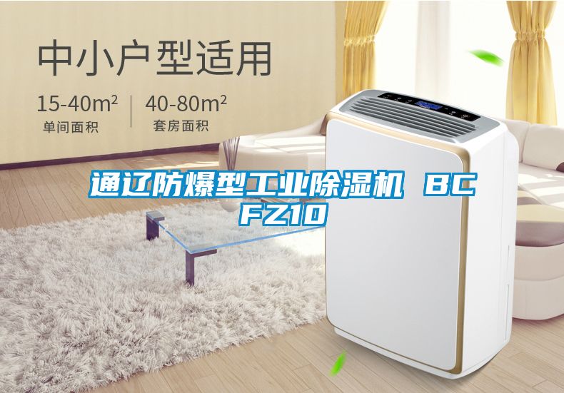 通遼防爆型工業91视频链接下载 BCFZ10